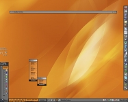 clean orange :: dpcdpc11